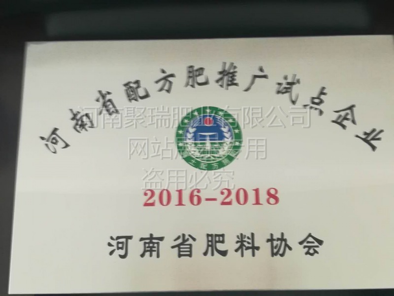 网站展示盗用必究