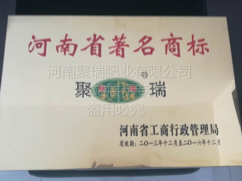 网站展示盗用必究