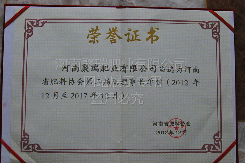 网站展示盗用必究