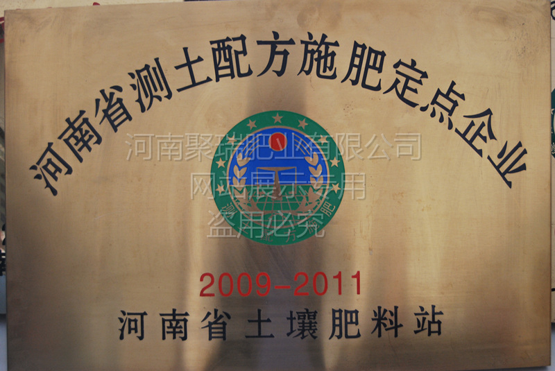 网站展示盗用必究