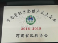 网站展示盗用必究