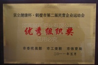 网站展示盗用必究