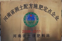 网站展示盗用必究