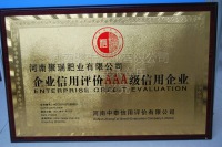 网站展示盗用必究