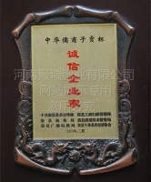 网站展示盗用必究